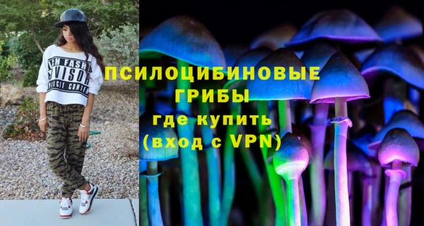 гашиш Богородицк