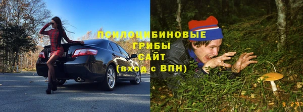 мет Богданович