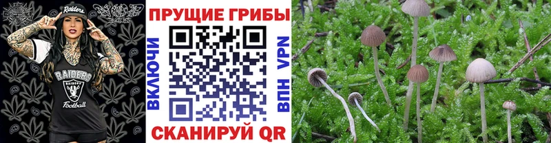 Псилоцибиновые грибы Magic Shrooms  Кемерово 